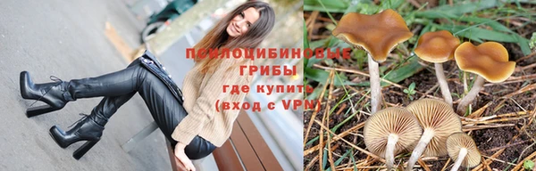 гидра Белоозёрский