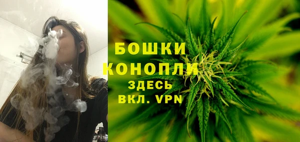 гидра Белоозёрский