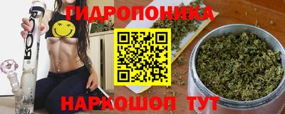 стафф Можга