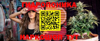 шишки Гагарин