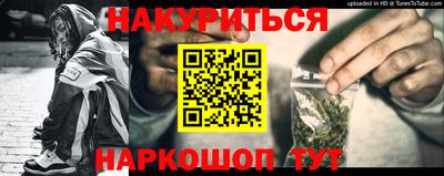 шишки Гагарин