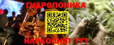 шишки Гагарин