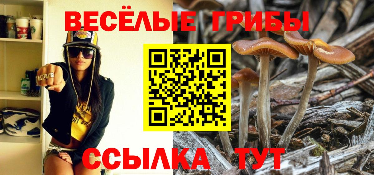 ЭКСТАЗИ  Вход с VPN  Бошки Шишки  МЕФ кристаллы  Валуйки  ГАШ 