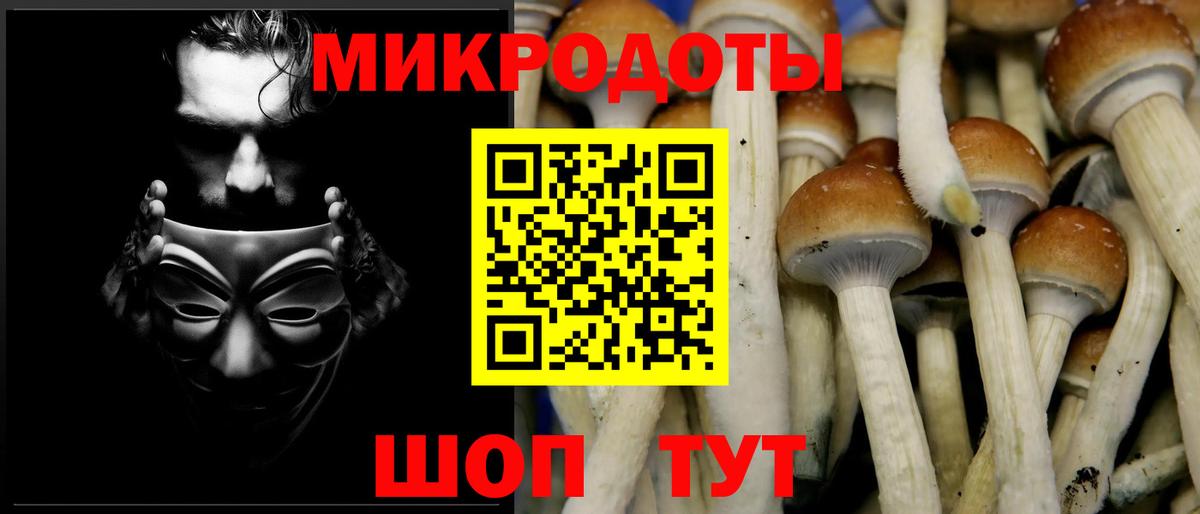 Галлюциногенные грибы прущие грибы Валуйки